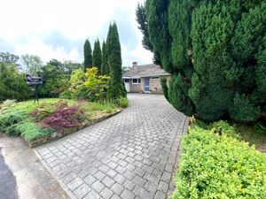Driveway/Front Garden- click for photo gallery